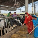 19f3a009-a843-4925-b0c3-385205cffdc1