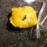 f4a07c71-9efa-414a-9436-f6b91269d6ea