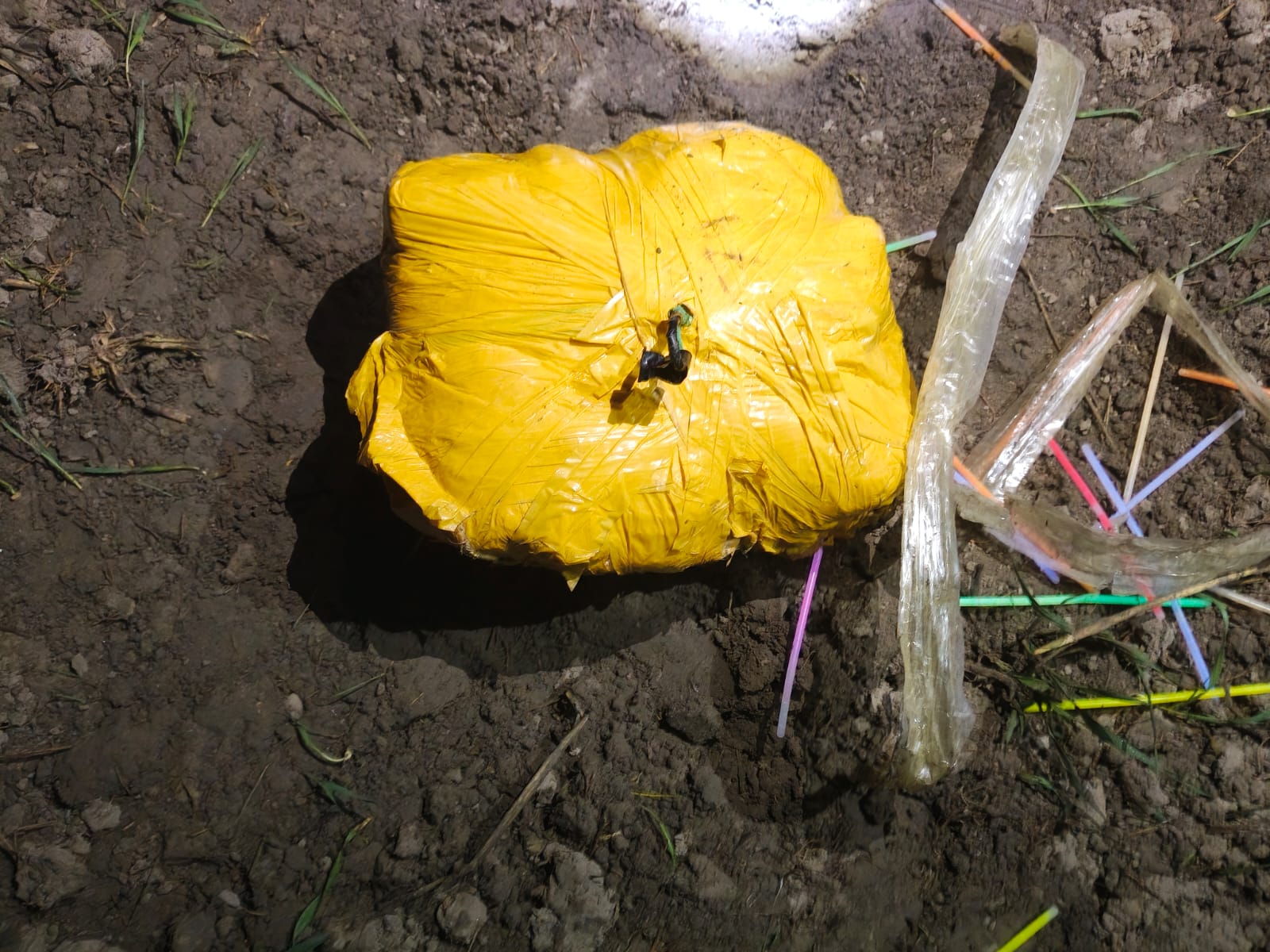 f4a07c71-9efa-414a-9436-f6b91269d6ea